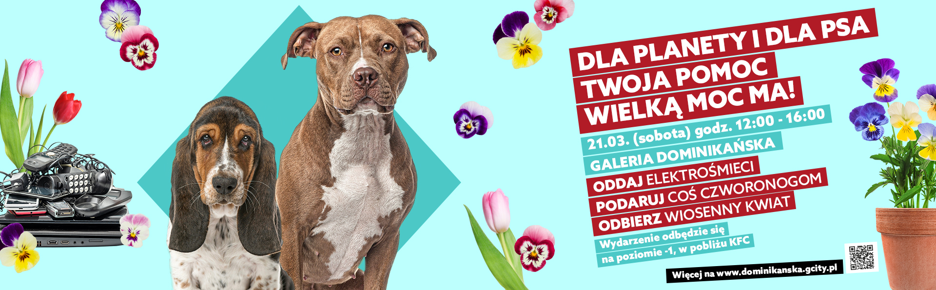 Dla planety i dla psa – Twoja pomoc wielką moc ma!