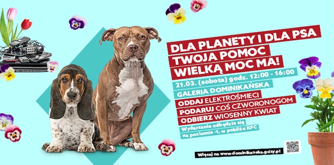 Dla planety i dla psa – Twoja pomoc wielką moc ma!